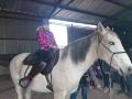 gal/2020/27_Kone Plachtin/_thb_20201115_143215.jpg